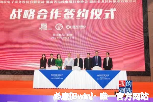 必赢